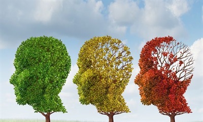 پیرمغزی چگونه پیشرفت می کند؟